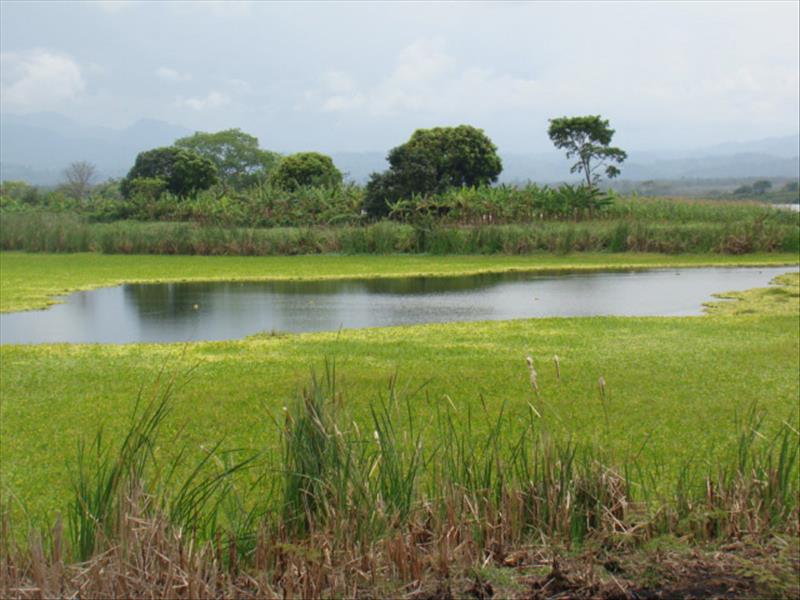 Laguna la Tembladera